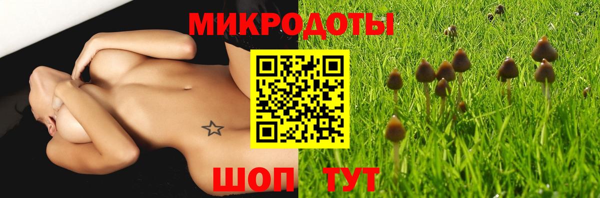 Галлюциногенные грибы мухоморы  Галлюциногенные грибы мухоморы  Сердобск  Вход с VPN 