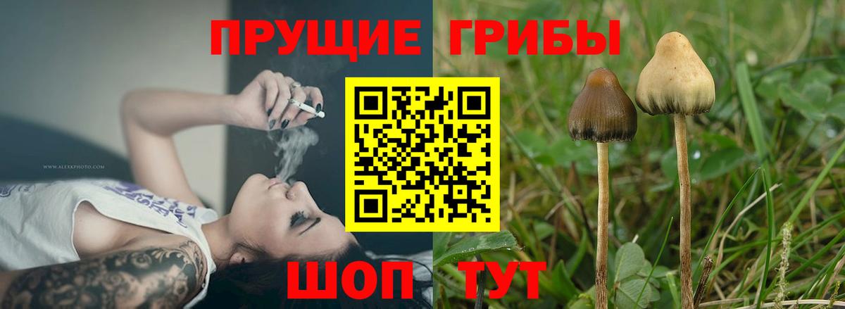 Галлюциногенные грибы мицелий Сердобск